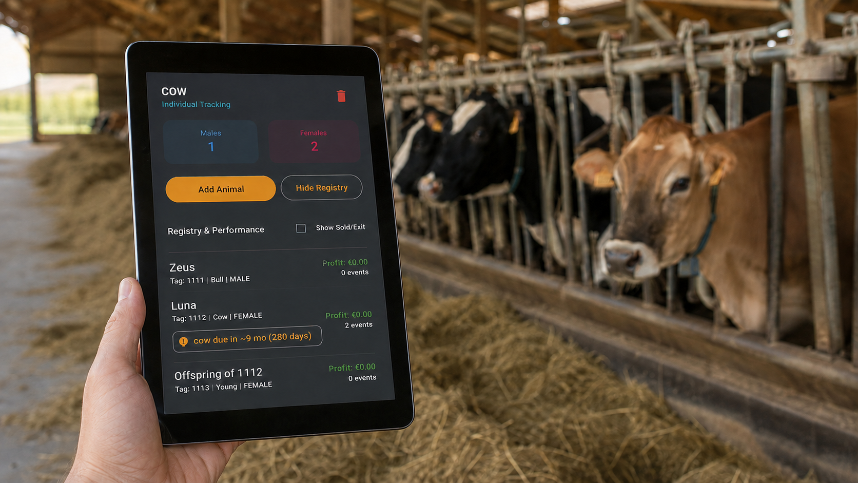 EXOHERD livestock registry displayed on a tablet in a dairy barn